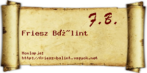 Friesz Bálint névjegykártya