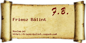 Friesz Bálint névjegykártya
